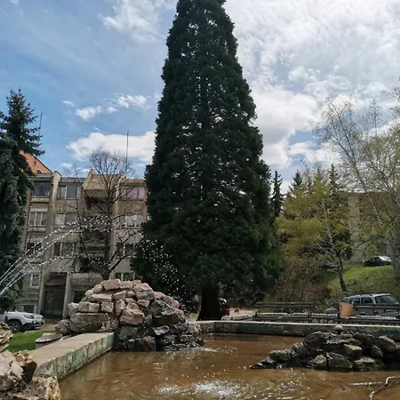 Διαμέρισμα Quince Μπορ