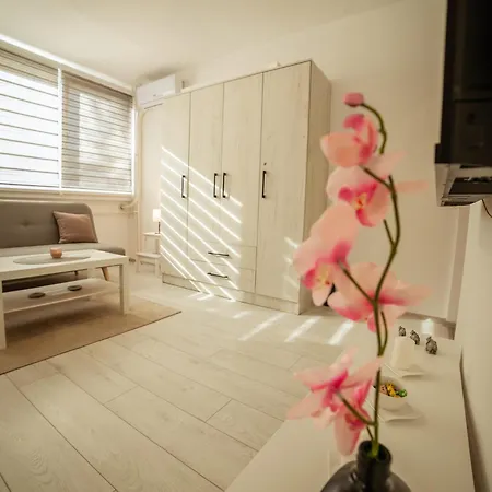 Apartament Quince *